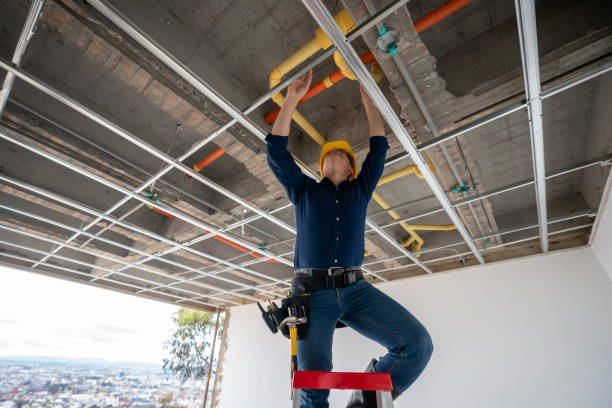 Best Affordable Plumbing Services  in Juarez, TX