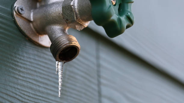 Best Residential Plumbing Services  in Juarez, TX